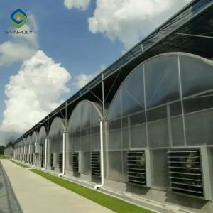 120km/H Multi Span Polycarbonate Aluminium Greenhouse With Irrigation System