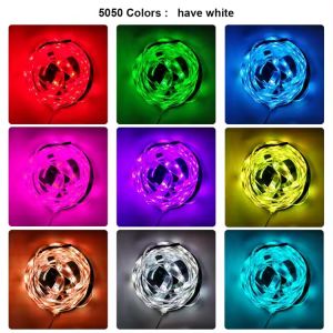 SMD 5050 30D 5M 10M 15M 20M DC 12V Waterproof RGB LED Strip Light Mini 24key
