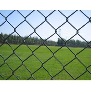China reliable wholesale professinal factory chain link fence