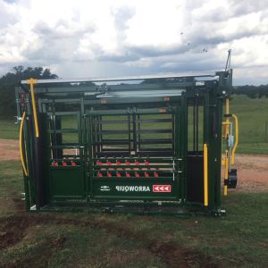 40*40mm*1.6mm Frame Cattle Crush Galvanized Steel Heavy Duty