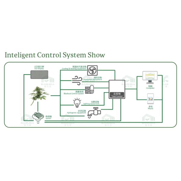 Hot Sale Inner Shading System Single Span Plastic Light Deprivation Blackout Greenhouse For Mushroom