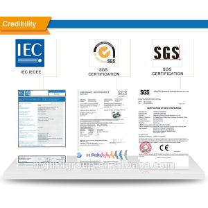 220 Voltage and New PP Material Cordless Electric Jug Kettle