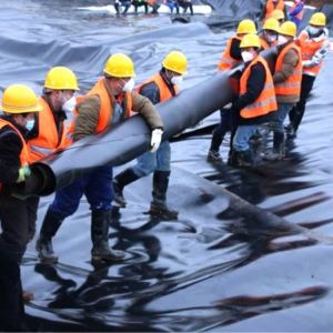 Smooth Geomembrane Fish Pond Lining Impermeable Membrane for Modern Design