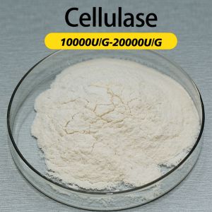 Cellulase Enzyme 10000U/G Enzyme Preparation Sample Testing Enzymatic Hydrolysis