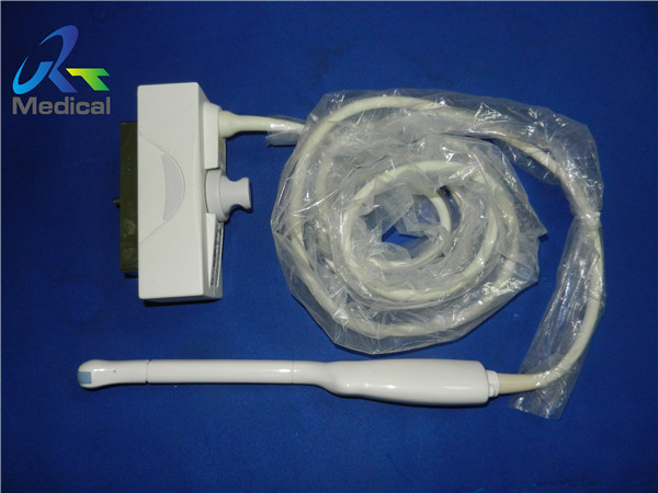 EC1123 Ultrasound Transducer Biosound Biosound Endocavitary 10mm Intravaginal