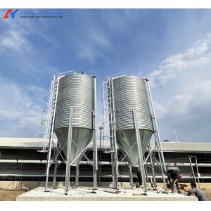 Poultry Farm Chicken Feeding Line Automatic Poultry Pan Feeding System