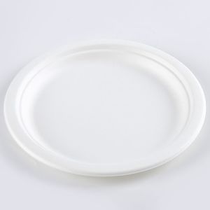 one time usable plates made of sugarcane bagasse 9inch
