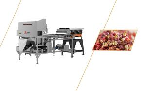 Cheap High Speed High Yield Pepper Crawler Sorting Robot 0.5 - 1T/H for sale