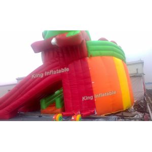 Beautiful Red Dragon Inflatable Water Slide With Moster Model PVC For Adults