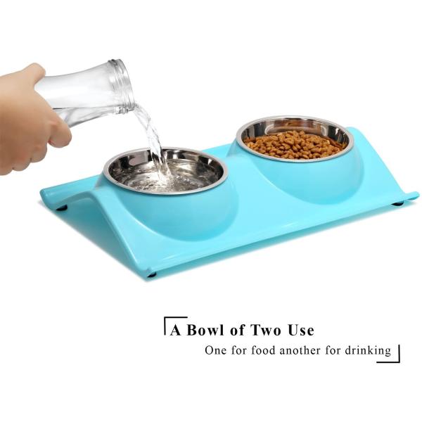 Double Dog Cat Stainless Steel Pet Bowls No Spill Resin Station
