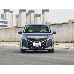 Export Fast Ship Luxury Made In China New Version Latest BYD Xia MPV New Car