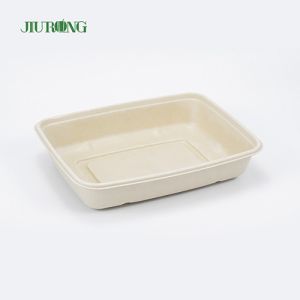 Disposable Sugarcane Food Container Biodegradable Greaseproof Paper OEM ODM