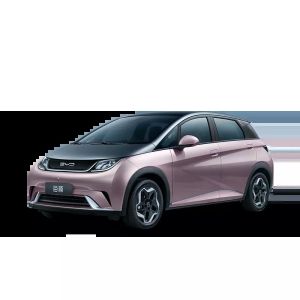 s Most Popular Small Pure Electric Car 2023 BYD Dolphin Knight Edition Eeletric
