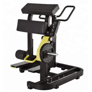 China Gym Fitness Equipment Leg Exercise Plate Loaded Machines Stand Leg Curl on sale