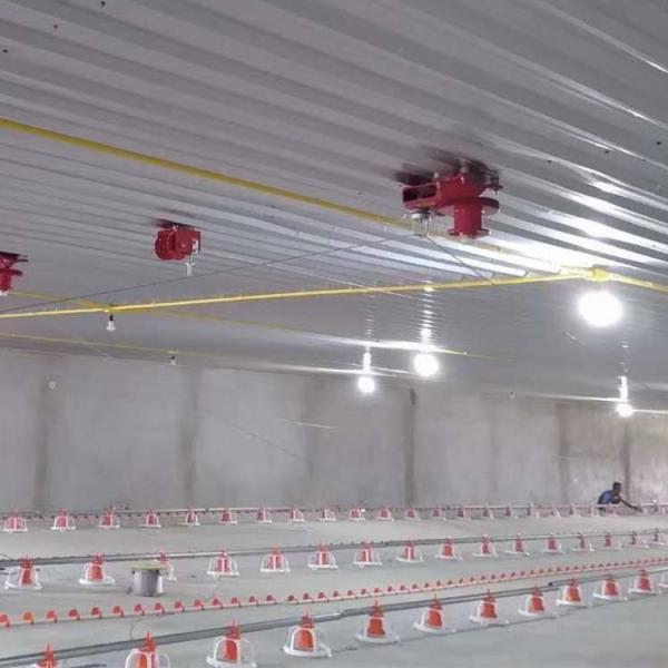 Quality Electrical Environmentally Controlled Poultry House wholesale