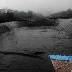 0.2mm HDPE Geomembrane Waterproof Tarpaulin Liners for Biofloc Fish Farming