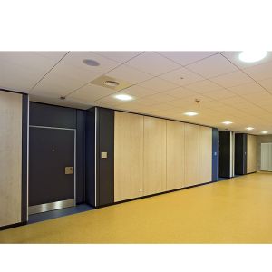 Modern Office Glass Partition Wall with Frosted Glass Acid Etched Glass and
