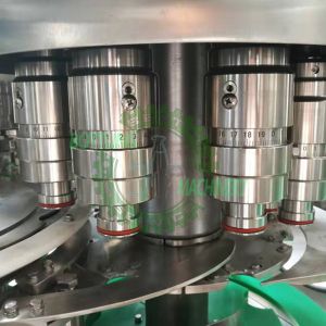 6000BPH PLC Control CGF18-18-6 Water Auto Bottle Filling Machine