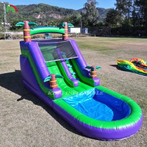 Commercial PVC Inflatable Water Slide Outdoor Backyard Kids Waterslide With