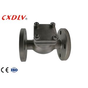 PN16 PTFE Seat Ring CF8 Flap Flanged Check Valve