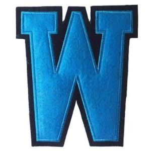 Custom embroidery chenille Hot Selling Promotion Custom Patch Embroidery patches