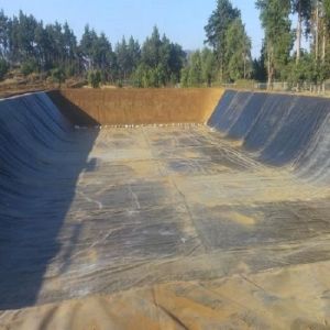 2mm HDPE Pond Liner for Fish Farm Waterproof and Flexible Thickness 0.5mm 1.0mm