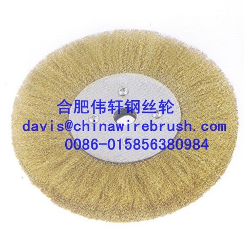 Quality Crimped Wire Circular Brushes with Nuts wholesale