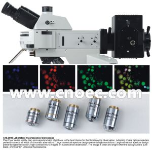 40x - 1000x Learning Fluorescence Microscope Infinity Plan A16.0908