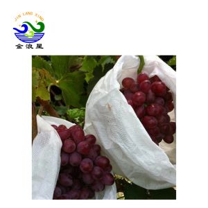 Nonwoven 1.6m 250GSM Netting Bags For Fruit Trees