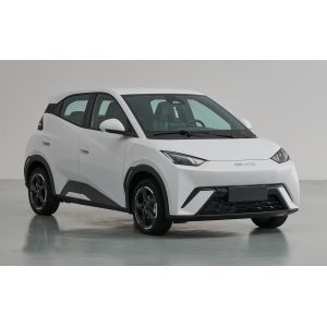 Multicolor Optional Second Hand Electric Cars Used Byd Dolphin Seal Seagull Sold