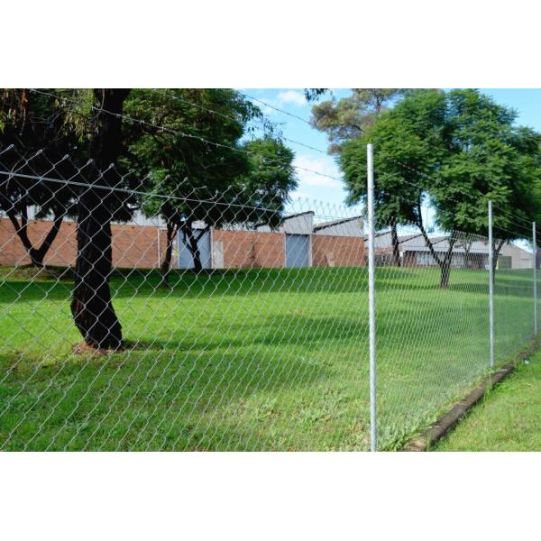 Quality Galvanized Chain-Link Fence 1.8mx10x50mmx50mm2.5mm, 29kg wholesale
