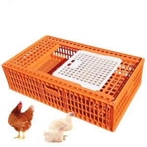 Farming PP Poultry Carrier Crate Chicken Transport