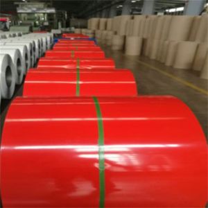 DX51D SGCC Galvanized Steel Coil Ppgi Prepainted 1250mm Width SGS Certificate