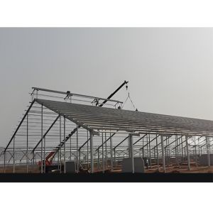 Weld Steel Structure Cow Shed Construction , Temporary Livestock Shelter