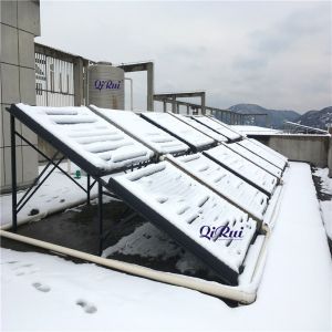 Solar Thermal Non-Pressurized One-Wing Hot Water Heating Collector Project for