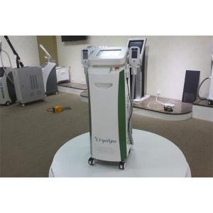 2016 Machine Manufacturers ! Standing Cryo Machine Fat Freeze Cryolipolysie machine