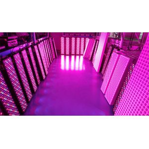 High Power 1000W Full Body Red Light Therapy Panel with 50Hz-60Hz Frequency Range and 60° Beam Angle