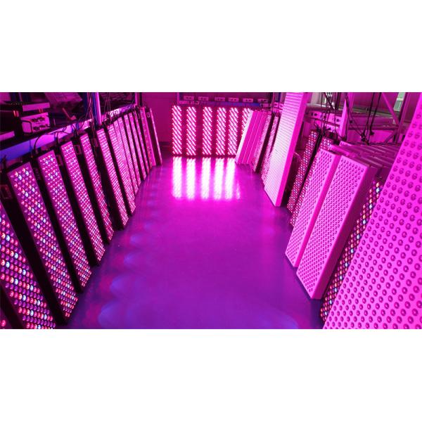 Quality High Power 1000W Full Body Red Light Therapy Panel with 50Hz-60Hz Frequency Range and 60° Beam Angle wholesale