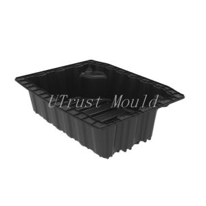 Custom LFTD Compression Mold