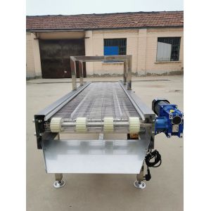 Cheap Modular Belt Conveyor Vegetable and Fruit Conveyor Belting for sale
