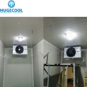 50 Tons Capacity Cold Room for Frozen Fish Walk in Freezer Customized Request