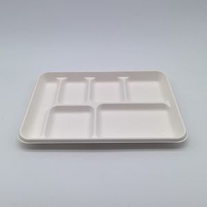 6 Compartment Disposable Plates Biodegradable Divided Rectangle Tray