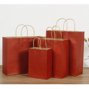 Embossed Printing Paper Bag 250gsm Printed Paper Carrier Bags
