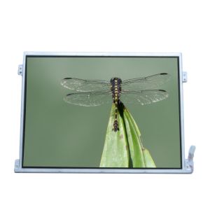 Cheap LTM10C320S 10.4 inch 1024*768 TFT LCD Screen Display for sale