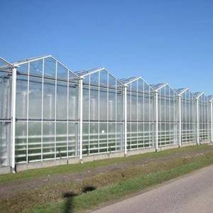 Cheap Stability Venlo Type Greenhouse / High Standard Venlo Glasshouse Good Appearance for sale