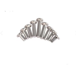 M7 M10 M8 Stainless steel Flat head solid rivet SUS304 SUS316 A2-70 Plain