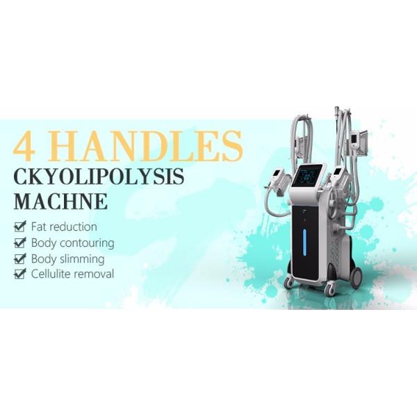 Quality Cryotherapy for weight loss Cryolipolysis fat freeze slimming machine wholesale