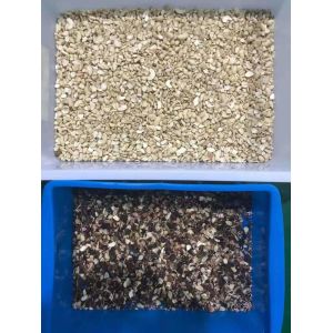 Professional Nut Color Sorter Machine Sorting Equipment Machine Color Sorter