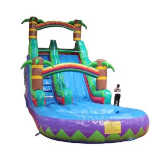 Commercial Giants Kids Inflatable Water Slide with Pool 18ft Business Rental