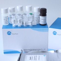 Fsc Certified Elisa Kit Human Ifnw1 Interferon Omega-1